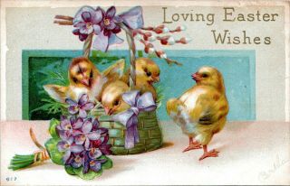 1910 Loving Easter Wishes Baby Chicks In Basket Violets Antique Postcard 617 Ik