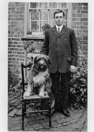 Bearded Collie Dog And Smart Gentleman Old Private Photo Pc Postcard