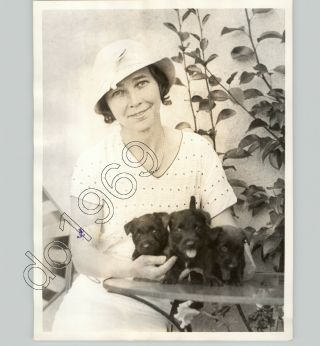 Wife Of Robert A Gardner @ Home Lake Forest,  Chicago W Puppies 1933 Press Photo