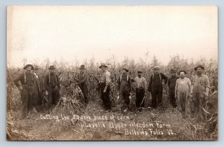 Vintage Real Photo Postcard Bellows Falls Vt Harvesting Corn Lovell 