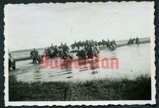 C8 Ww2 German Group Photo Of Wehrmacht Cavalry Unit Crossing River