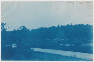 Franklin Park : Scarboro Pond & Foot Bridge : Boston 1907 Large Cyanotype Photo