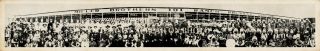 Miller Brothers 101 Ranch Wild West Show Panoramic Photo 43 " Long Panorama