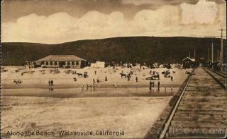 Watsonville,  Ca Along The Beach Santa Cruz County California Postcard Vintage