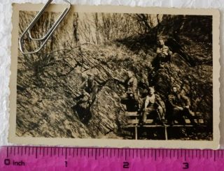 03 Ww2 Orig.  Photo German Soldiers Forest 2.  5 X 3.  5 Inch