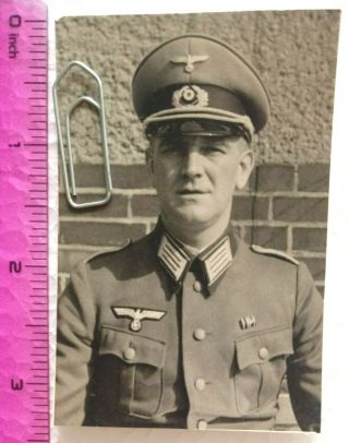02 Ww2 Orig.  Photo German Officer Portrait Ranks Ribbon Cap 2 X 3.  5 Inch