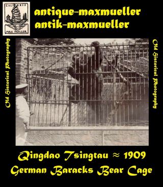 Photo China Tsingtau Qingdao German Baracks Bear Cage - Orig ≈ 1909
