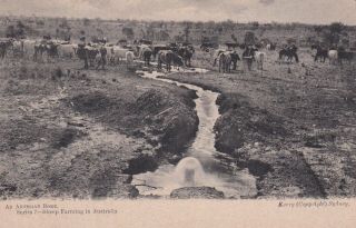 Vintage Postcard Massey Harris Golden Rule Series Sydney Farmin In Australia