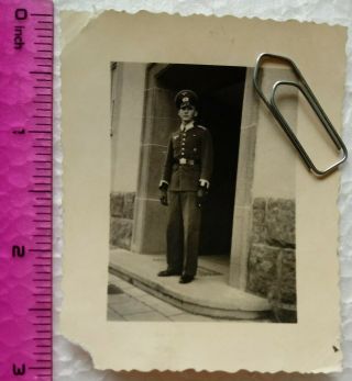 033 Ww2 Orig.  Photo German Officer Cadet Medal Gloves Uniform Text 2.  5 X 3 Inch
