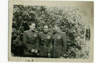 1945 Ww2 Red Army Rkka Officers Awards Military Russian Photo