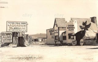 Vintage Rppc Photo Postcard Totem Pole Park Crescent City California Roadside Ca