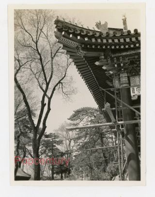 Pre Ww2 1938 China Photograph Peking Summer Palace Building Roof Detail Beijing