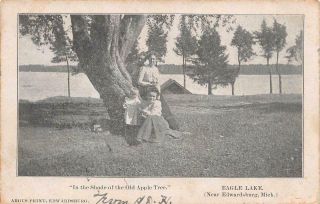 Edwardsburg Mi 1901 - 06 " In The Shade Of The Old Apple Tree " On Eagle Lake 541