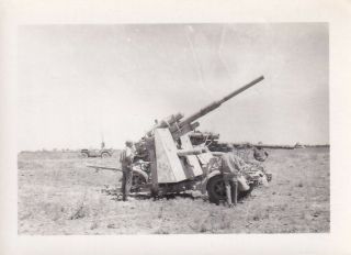 Wwii Photo 633rd Field Artillery Captured German 88mm Aaa Flak Gun 37