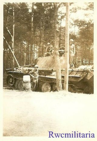 RARE US Troops w/ Captured German Pzkw.  V PANTHER Panzer Tank in Woods 2