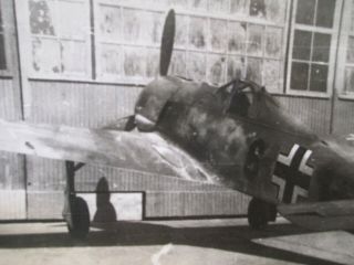 PHOTO Captured German Fw - 190 Fighter Aircraft in Russia - 2