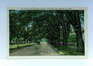 Orleans Louisiana St Charles Avenue Gigantic Live Oaks Vintage Postcard