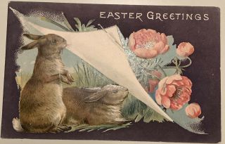 Raphael Tuck Vintage Easter Postcard Bunny Rabbits Flowers Series 1043 Embossed