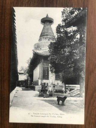 China Old Postcard Lamaist Temple Pei Ta Seu Peking
