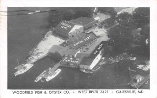 Galesville Maryland Air View Woodfield Fish & Oyster Co Vintage Postcard Cc1014
