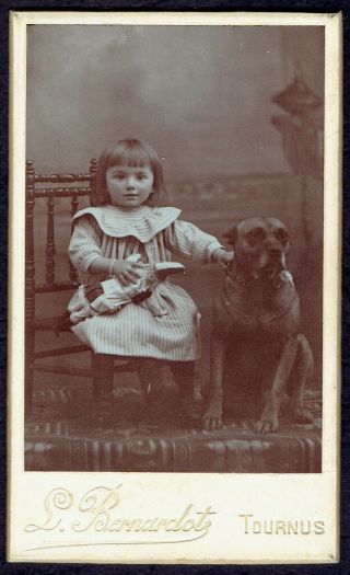 Cdv Photo Girl With Dog And Toy Doll Tournus (7031)