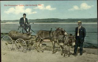 Old Orchard Me Peanut Peanutine Donkey Wagon C1910 Postcard