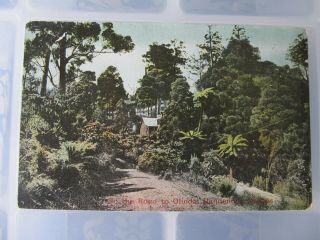 Vintage Postcard,  On The Road To Olinda Dandenong Ranges (victoria)