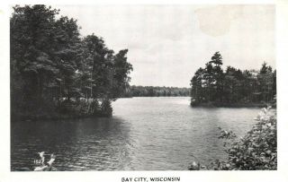 Bay City Wisconsin River View Vintage Postcard