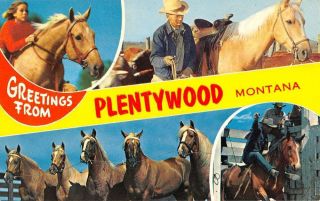 Plentywood Montana Greetings Multiview Cow Boy Horse Vintage Postcard K23112