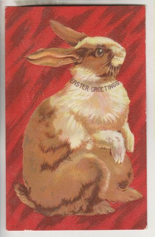 Vintage Embossed Postcard - Easter Greetings - Rabbit