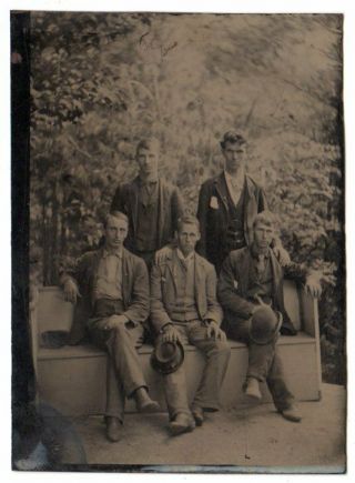 Vintage 6th plate tintype image 5 young men on bench outside,  woods for backdrop 2
