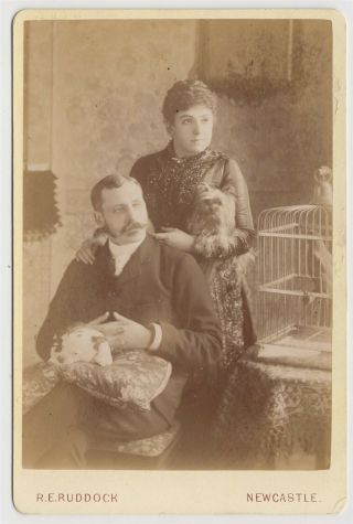 Dog Cabinet Photo - Aristocratic Looking Couple With Their Two Dogs And Parrot