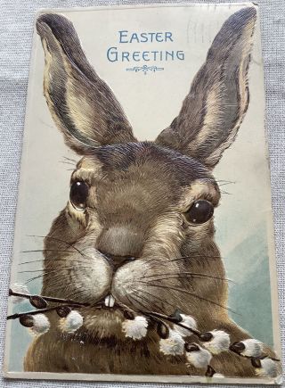 Vintage Easter Postcard Large Bunny Rabbit Cute Face Pussy Willows Germany 1912
