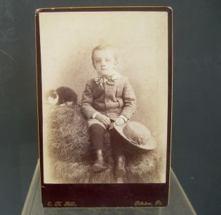 Boy With Cat And Hat Antique Cabinet Card 6.  5x4 Photograph Pittston Pa