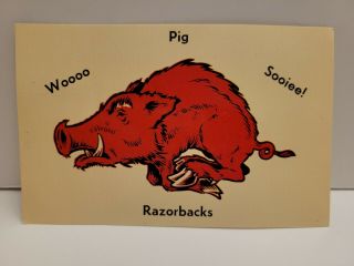 Vintage Postcard University Of Arkansas Razorbacks Mascot Sooiee