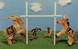 Steiff Zoo Favorites Toys Old Rivals Goat Donkey Football 1960 Vintage Postcard