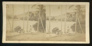 Holt & Gray Tropics Stereoview No.  39 View At King Fish Bay St.  Johns 1860s