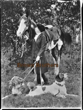 1900s Model Evelyn Nesbit Thaw W/horse & Harry Thaw Trial Film Photo Negatives - 2