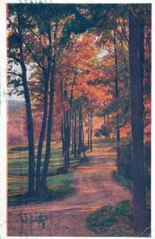 Flaming Foliage Time Buck Hill Falls Pa Posted Vintage White Border Post Card