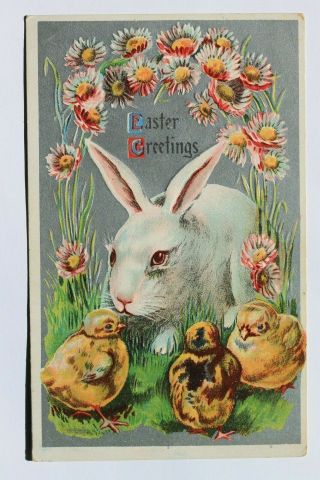 Old Embossed Postcard Easter Greetings Bunny Rabbit,  Chicks,  Flowers
