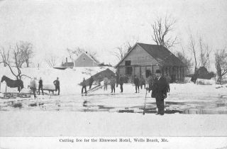 Cutting Ice For The Elmwood Hotel Wells Beach Maine C1910s Vintage Postcard