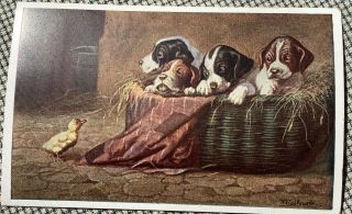Vintage Postcard Wally Fialkowska Puppy Dogs In Basket 1931 Easter Chick