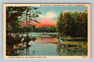 Pymatuning Lake Pa,  Birds At Bird Sanctuary,  Vintage Linen Pennsylvania Postcard