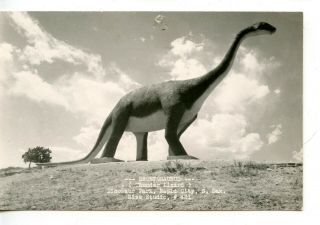 Brontosaurus - Dinosaur Park - Rapid City - South Dakota - Vintage Real Photo Postcard