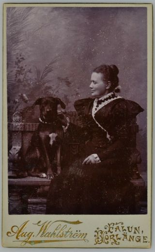 Cdv Photo Woman With Dog,  Sweden (6894)