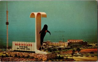 Entrance And Sign Marineland Of The Pacific Ca C1961 Vintage Postcard J28