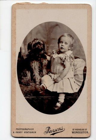 Cdv - Young Child With Pet Dog - Percy Parsons - Worcester