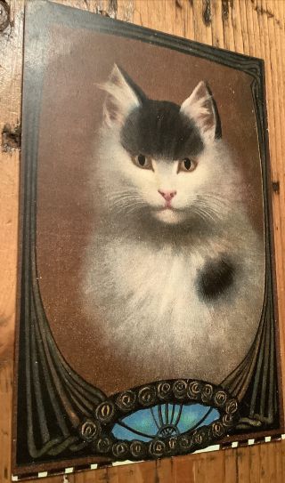 Vintage Cat Postcard German American Novelty Art Series Art Deco Feel Kitten Udb