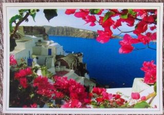 Greek Old Photo Postcard Greek Island Santorini Thira Courtyard Volcano Seaview
