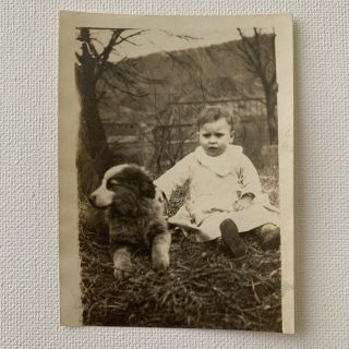 Antique/vintage Snapshot Baby Boy Girl Child Border Collie Puppy Dog Photograph